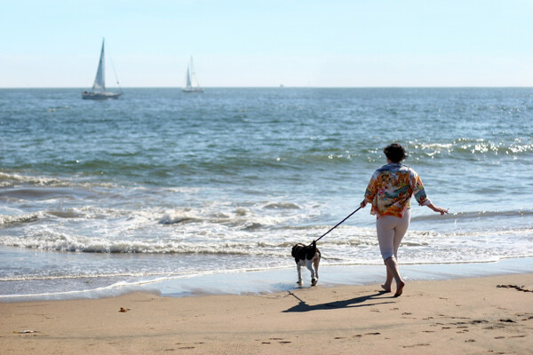 海边遛狗的人图片