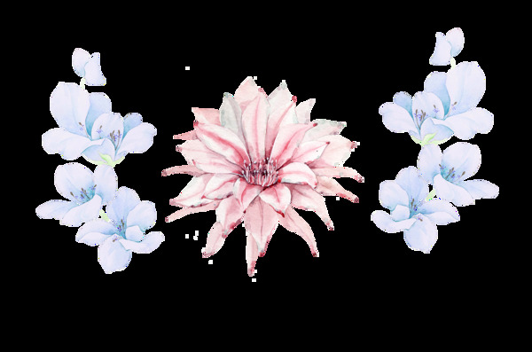 淡蓝色花朵图案