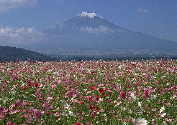 富士山图片