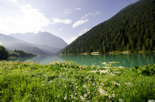 美丽森林湖泊风景图片