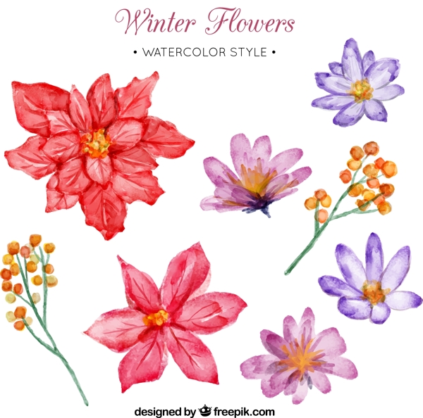 8款水彩绘冬季花朵