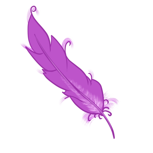 精美的紫色动物羽毛