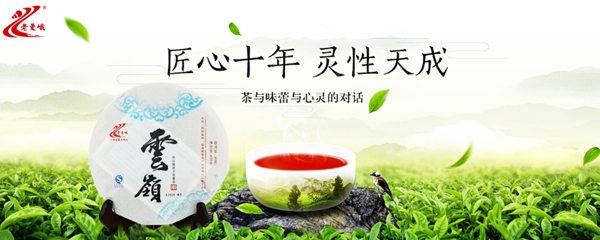茶茶叶陈年茶饼PC端海报