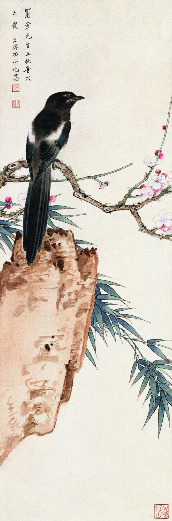 竹石花鸟图片