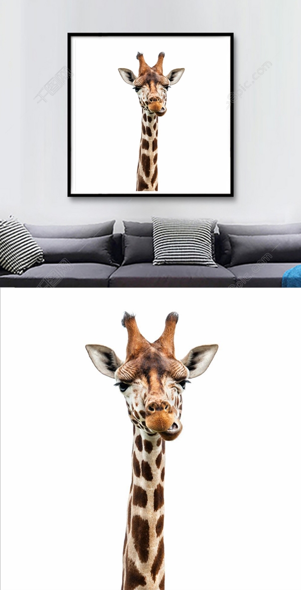 方形长颈鹿搞笑高清装饰画