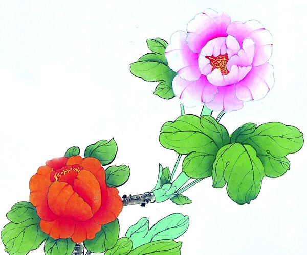 印花非矢量植物花卉优雅植物艺术效果免费素材
