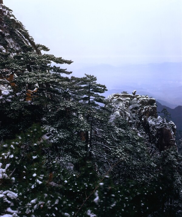 黄山风光图片