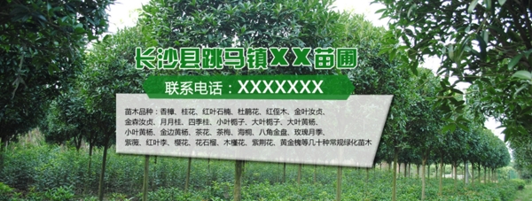 苗木网站banner