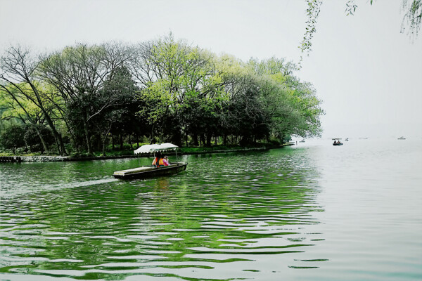 西湖泛舟图片