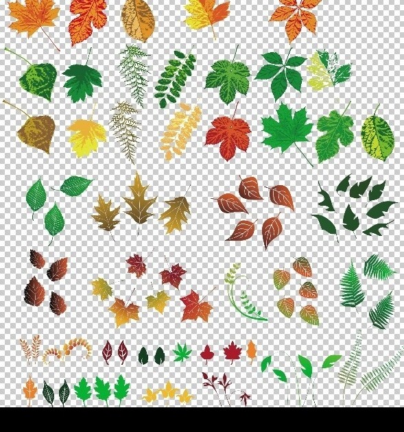 绿叶树叶大全集合图片