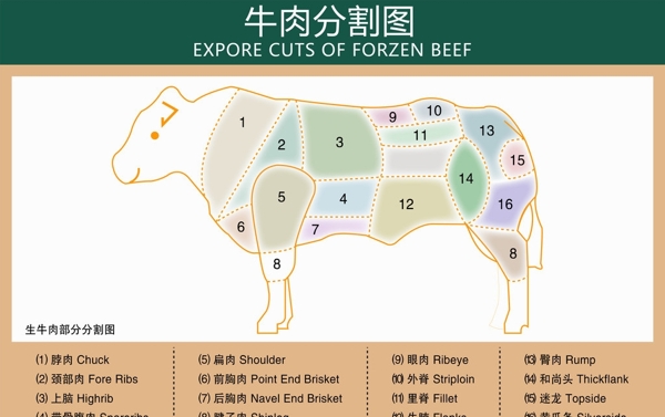 牛肉分割图图片