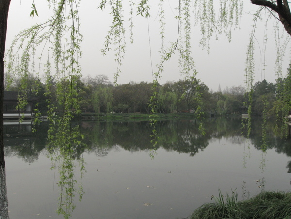 西湖风景