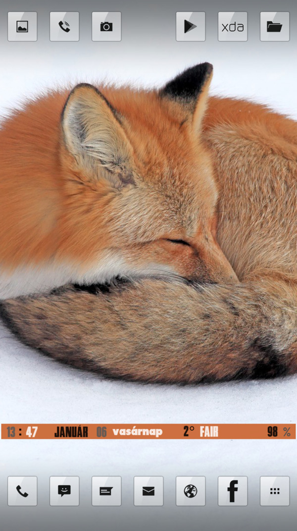 冬季狐狸