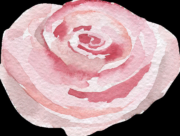 美丽粉色花卉卡通水彩透明素材