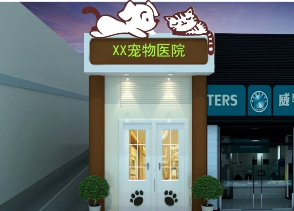 狗猫图片