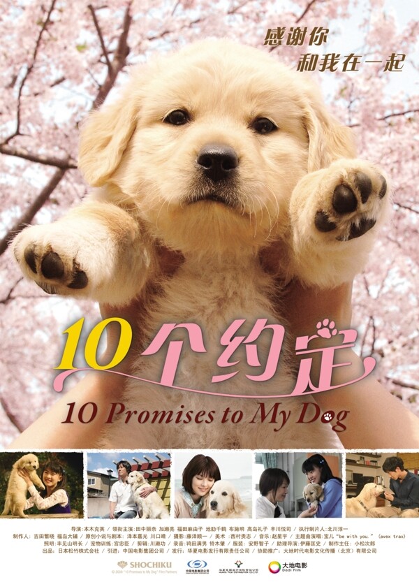 日本电影10个约定中国公映海报psd图片