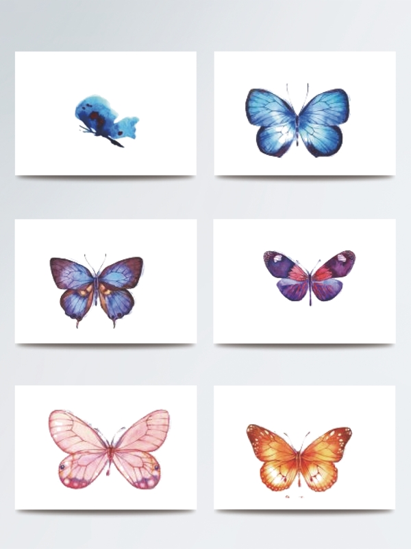 彩色水彩蝴蝶标本素材
