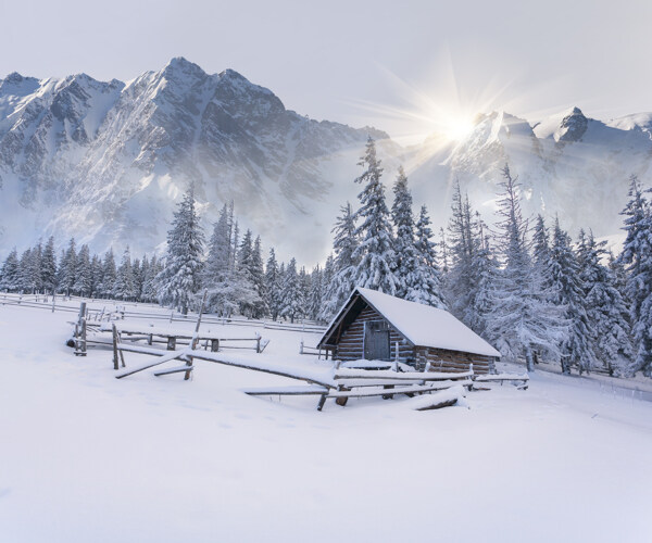 阳光下的雪村美景图片