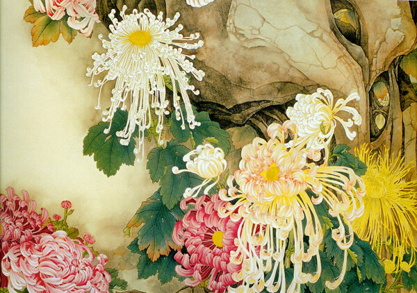 花朵鲜花插画背景图片