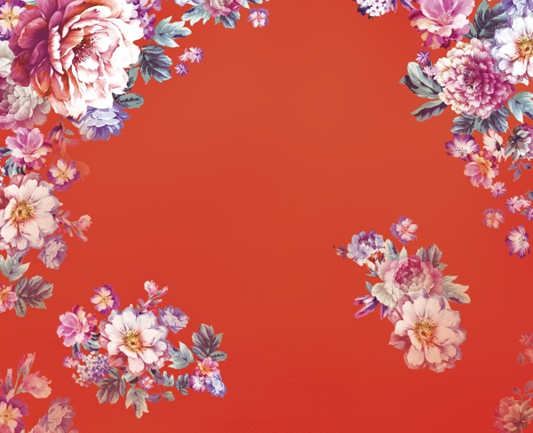 牡丹花花朵背景图片