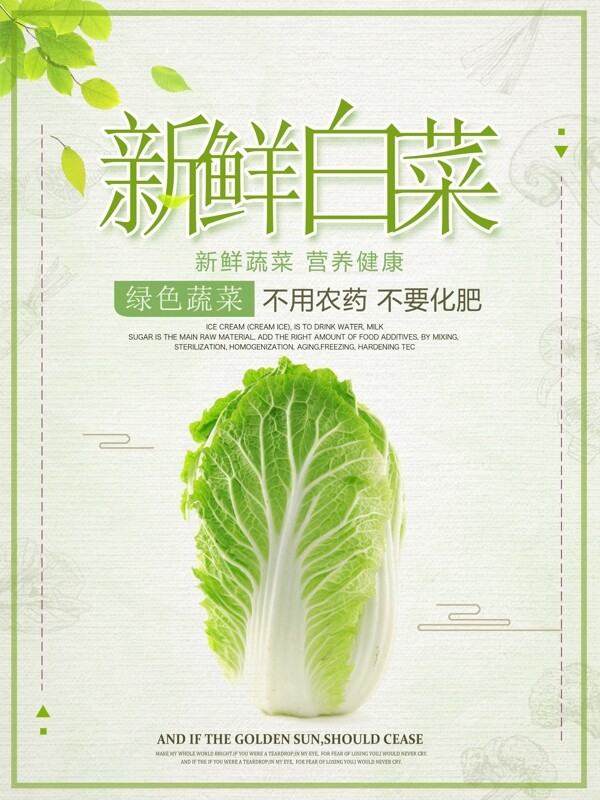 绿色简约清新食品蔬菜健康白菜海报设计