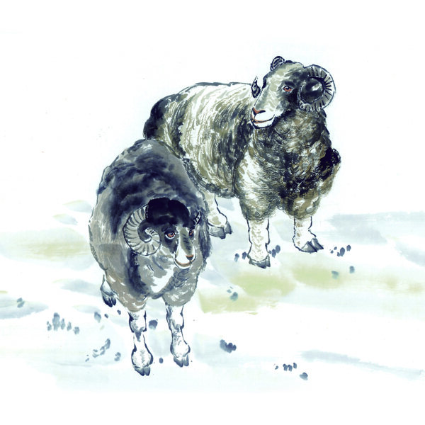 羊写意动物画国画0064