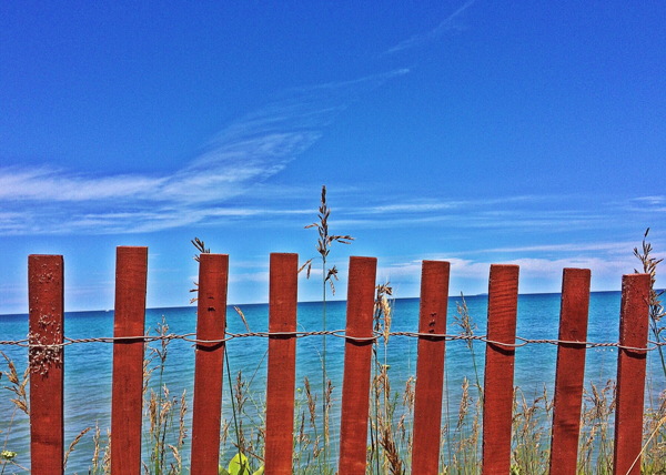 篱笆海边