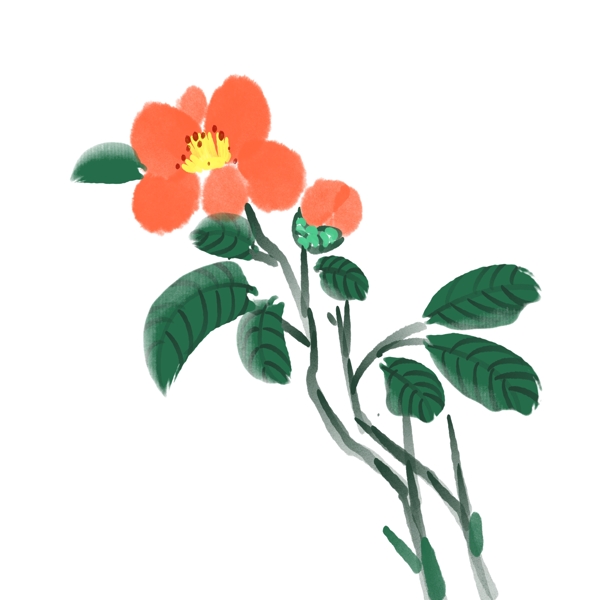 红色山茶花植物