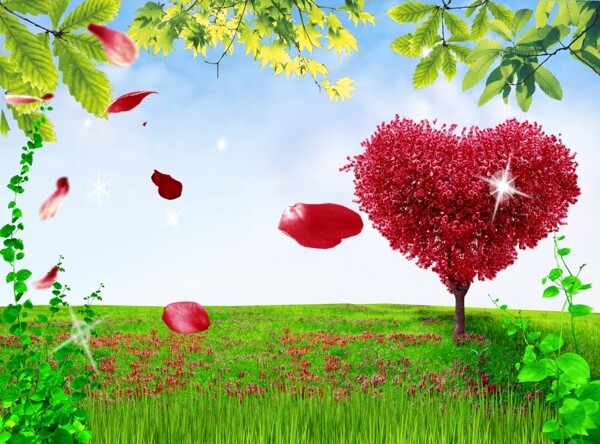 春暖花开爱情树