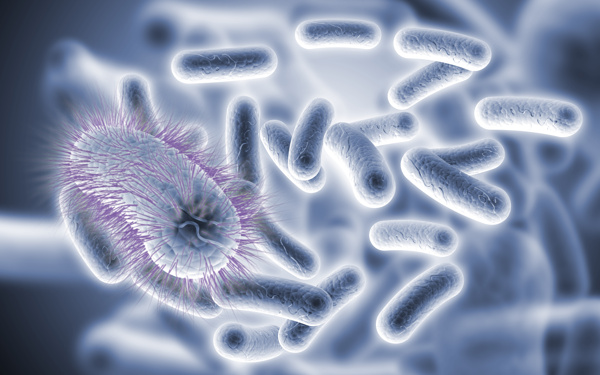 蓝色虫子形微生物图片