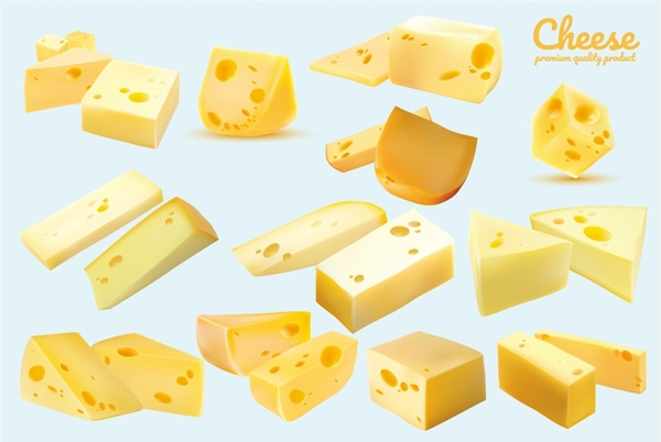 奶酪矢量图
