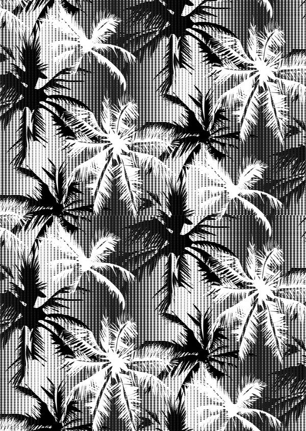 神秘风格椰子树植物广告背景