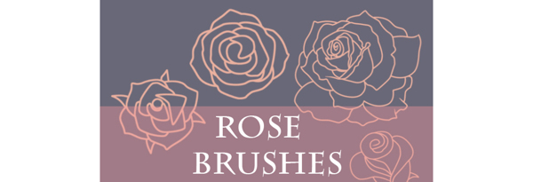 线描风格的玫瑰花装饰PS笔刷