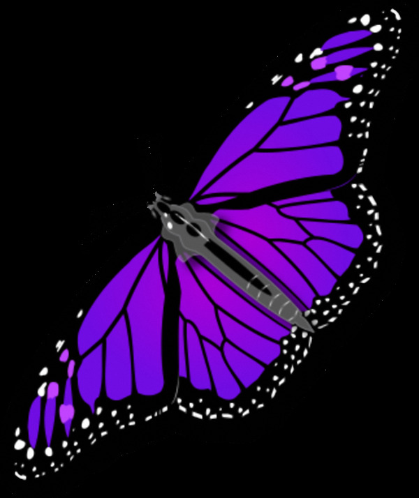 展开翅膀的紫色蝴蝶免抠png透明素材