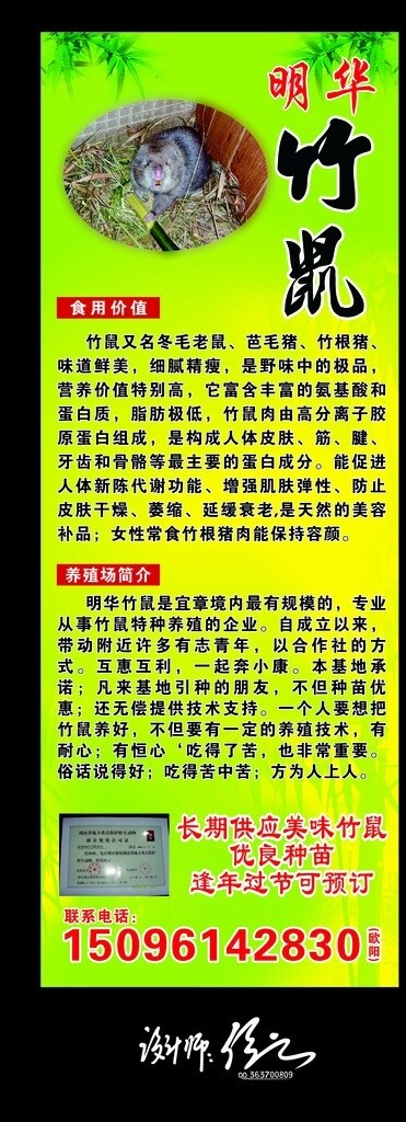 明华竹鼠图片