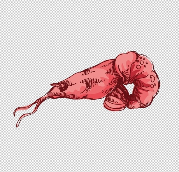 大红色海虾图案