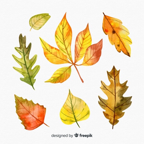 手绘水彩绘秋季树叶