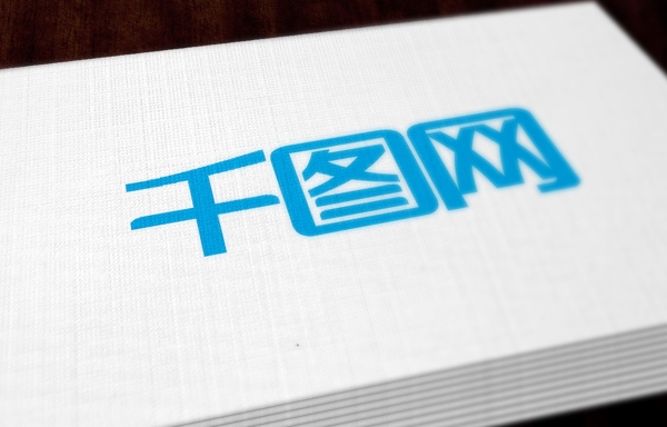 白色抽象纹理logo样机