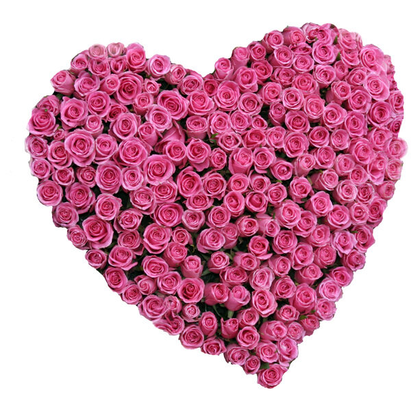 10款情人节爱心玫瑰主题高清图片