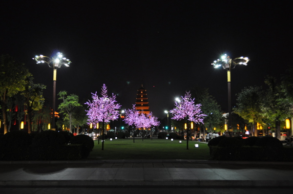 大雁塔夜景图片