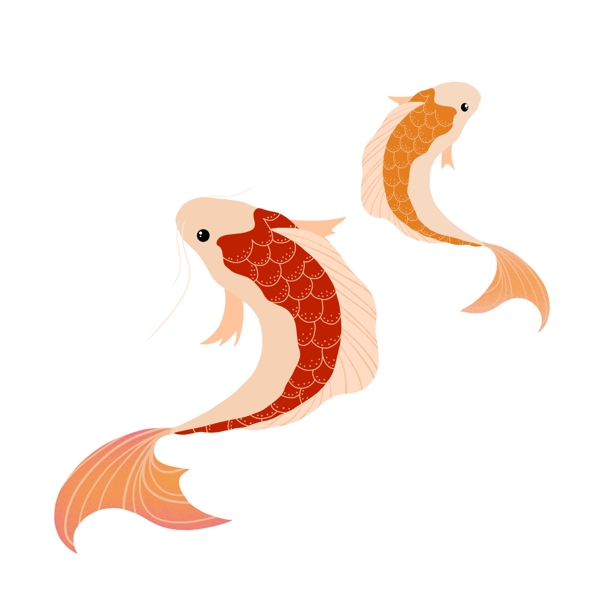 红色黄色鱼锦鲤