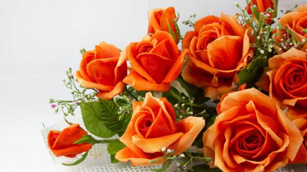 橙色玫瑰花束