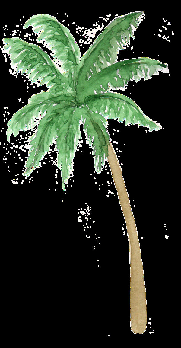 椰子树卡通透明素材