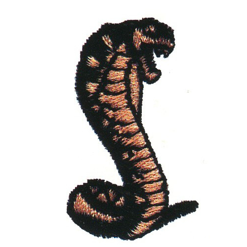 绣花动物蛇蟒蛇黑色免费素材