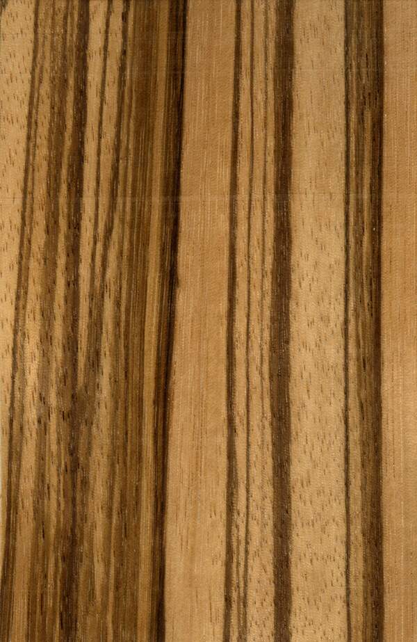 木纹旧木材木纹树皮贴图