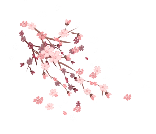 日本的樱花装饰插画
