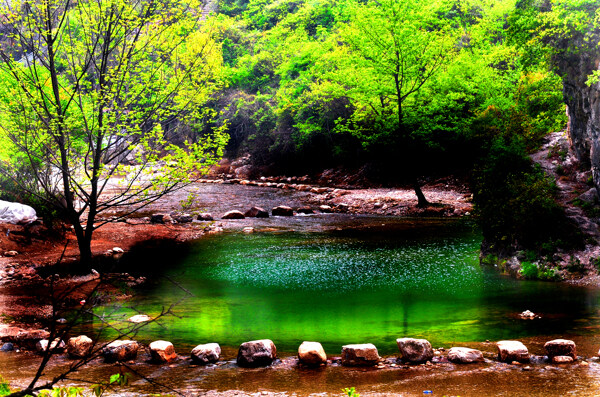 林中山水风景图片