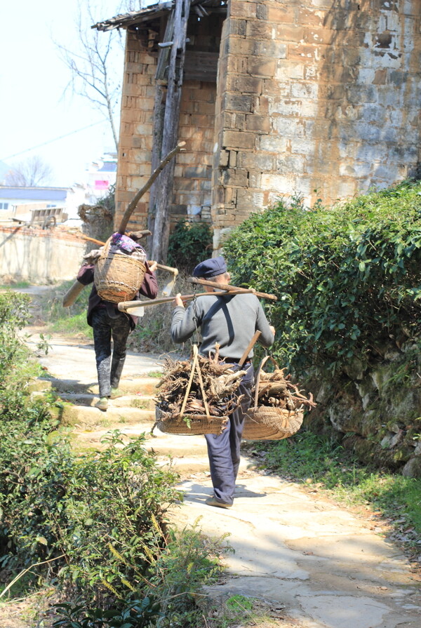 背景图片