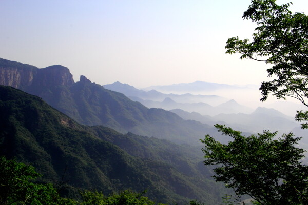 蓝天绿山白云植物风景