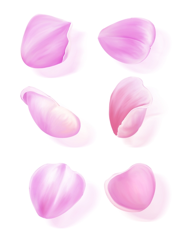 手绘花粉色花瓣元素套图